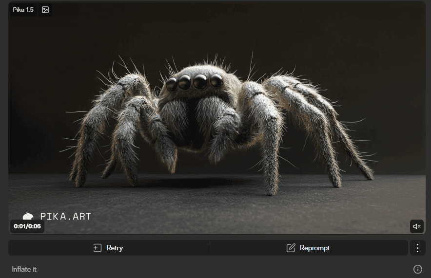 Step 4: Finalize and Export