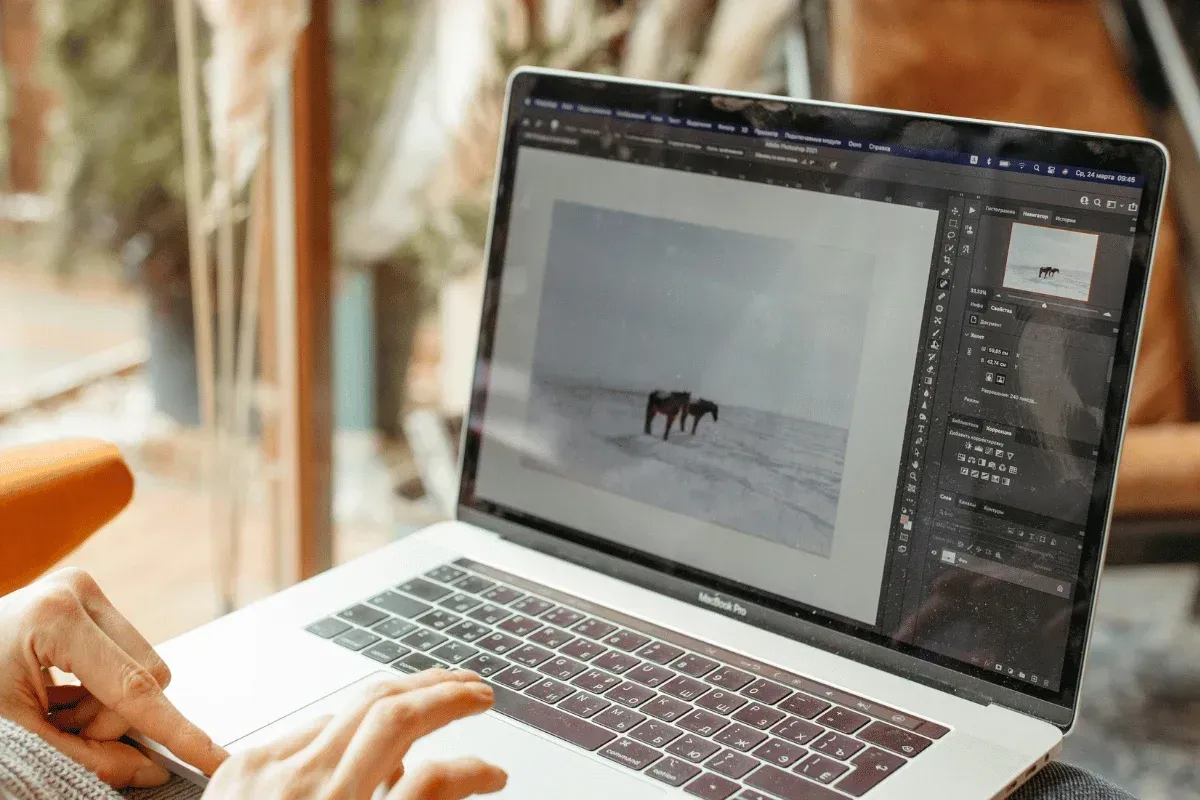 A person edits a photo of horses on a laptop, with a cozy indoor setting visible in the background.